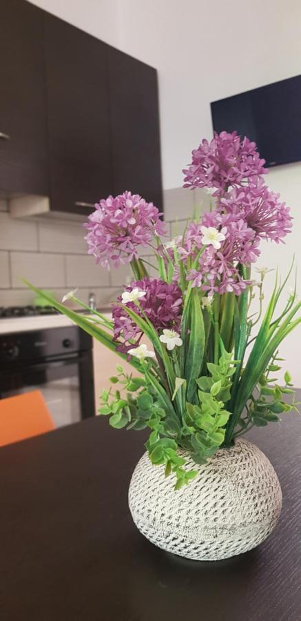 Appartamento Fiore Di Zagara 100Mt Dal Mare 圣维托罗卡波 外观 照片
